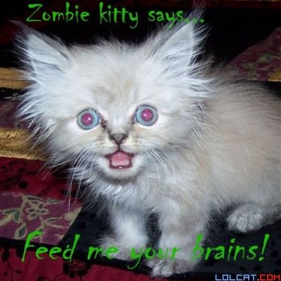 zombiekitty.jpg